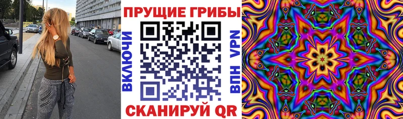 Псилоцибиновые грибы Psilocybine cubensis  Дегтярск 